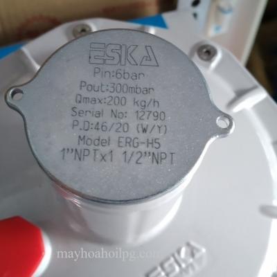 VAN ĐIỀU ÁP CẤP 2 ESKA 200kg/h